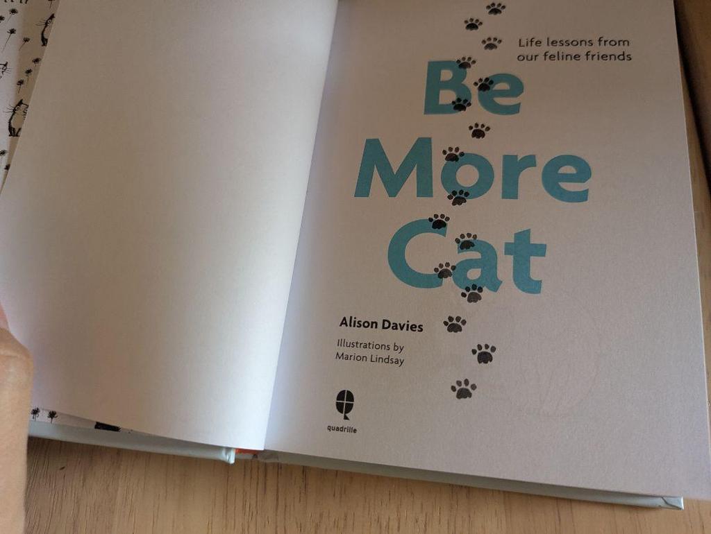 [USED] A small book on cat philosophy that cat lovers will want to keep as a talisman: Be More Cat