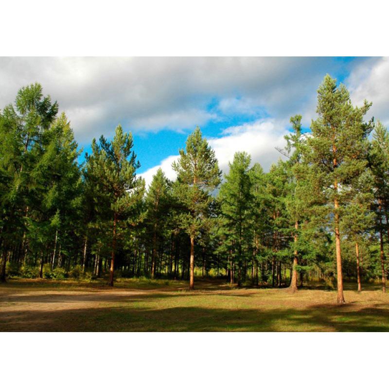 Siberian Scenery Poster: Kraft Paper Framed Wall Art