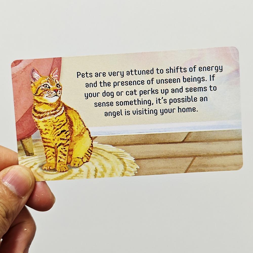 40 Message Cards Angel Connections 10.5*6cm Present Visual Images of An Angel Sign with Messages To Receive Angel’s Blessing