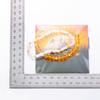 2Pcs/Set Halloween Pumpkin Spider Bracelets For Women Men Cute Cat Bat Ghost Couple Bangles Crystal Beads Bracelets Jewelry Gift