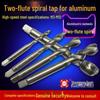 Aluminum High-Speed Steel M2 Two-Flute Spiral Tap