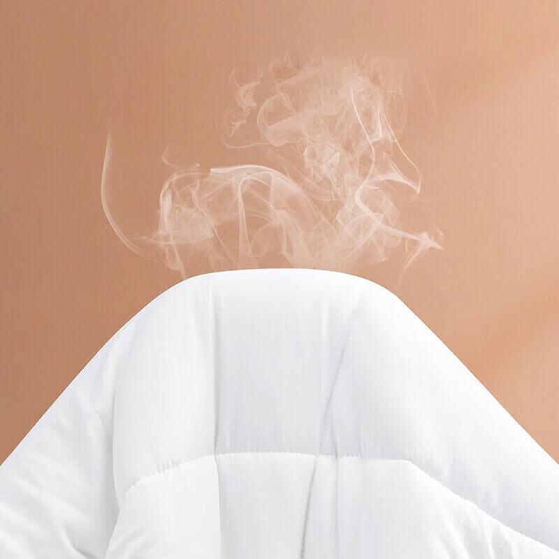 

Impression Collection Thickened Winter Fiber Quilt