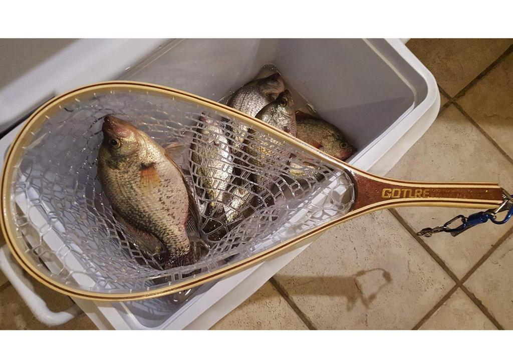 Goture Landing Net, Fly Fishing Net, Clear, for Mountain Stream and Pipe Fishing, Wooden (Wooden)