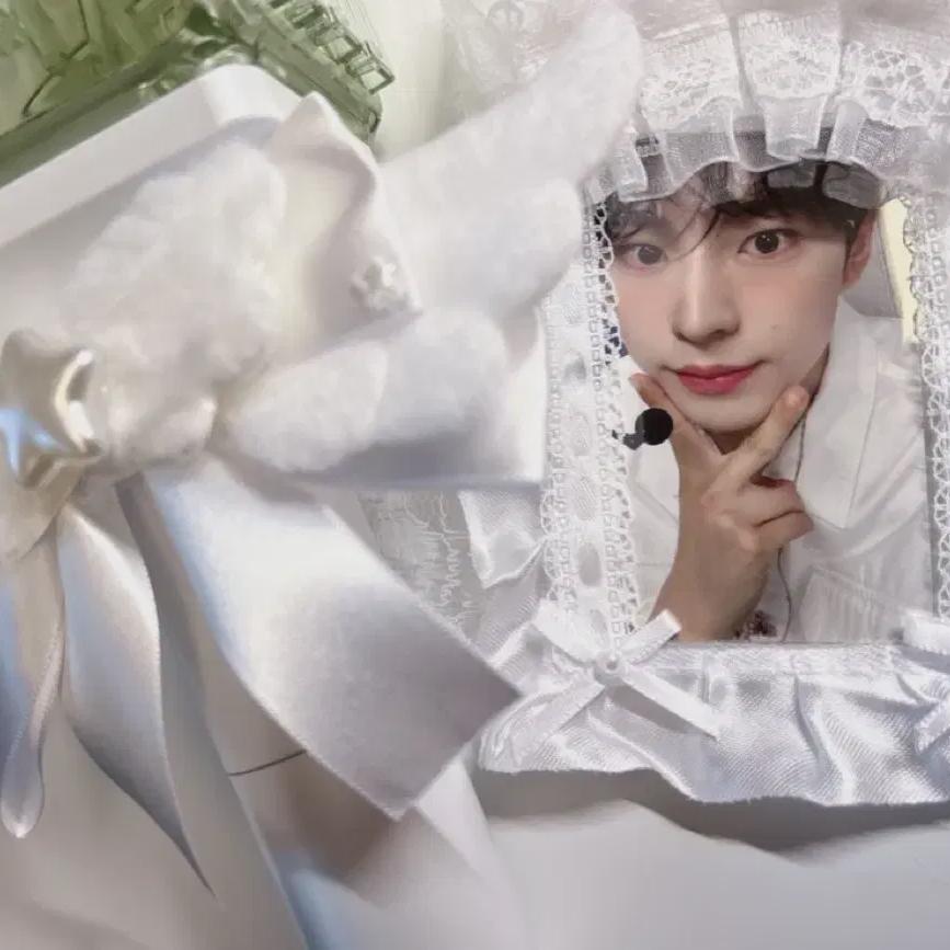 

Nct Wish Лайтстик Лента Кошка Кружевной Топ с Узором