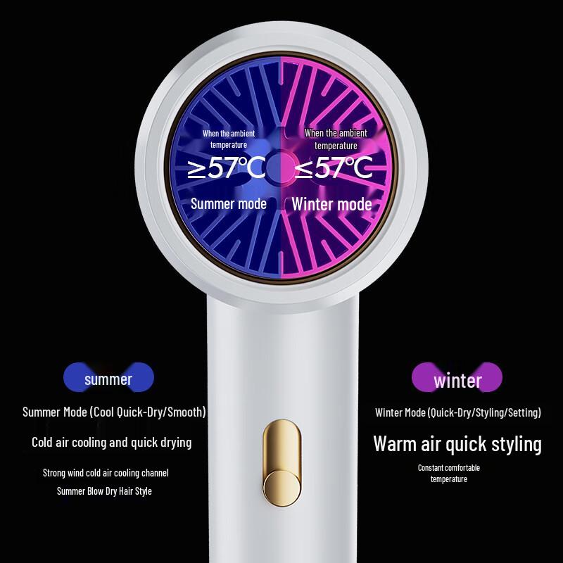 OEING T9 High-Speed Ionic Hair Dryer