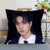 Wang Yibo Pillow Case Chen Qingling For Home Decorative Pillows Cover Square Zippered Satin Fabric Pillowcases 45X45Cm