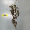 Artificial Spider Plant & Fern Hanging Decor - Trailing Green Vines for Wall & Ceiling
