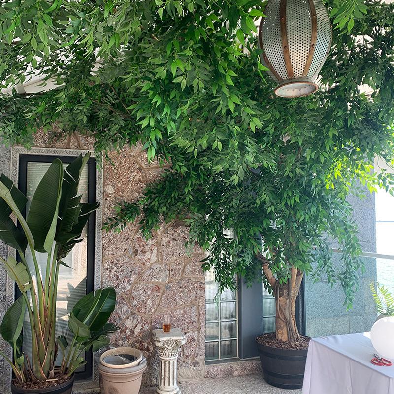 10PCS Artificial Plants Italian Ruscus Greenery Stems Spring Faux Shrub Bushes Green Leaves for Wedding Arch Bouquet Home Decor