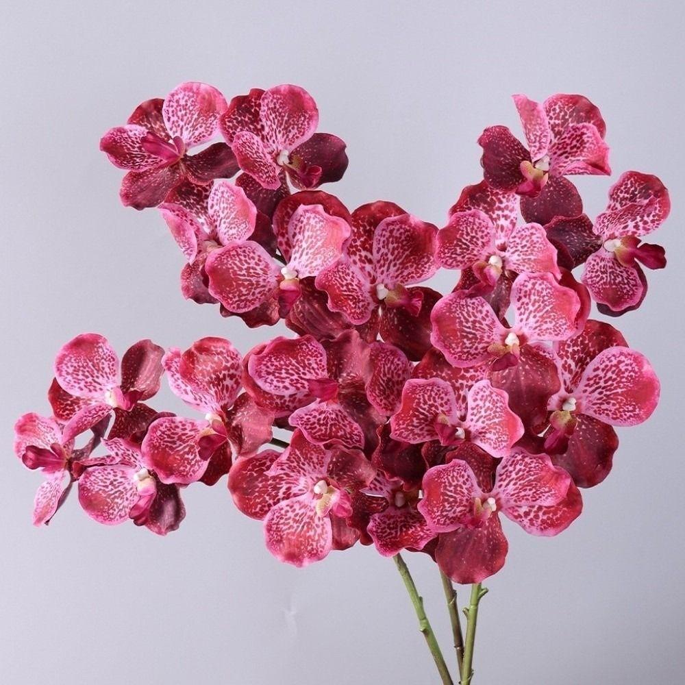 Moisturizing Phalaenopsis Branch 80 CM Real Touch Orchids Vase Decor Fake Flower  Hotel