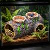 Realistic Reptiles Cave Hide Box Safe Comfortable Shelter Waterer and Feeders For Geckos Turtles And Amphibians