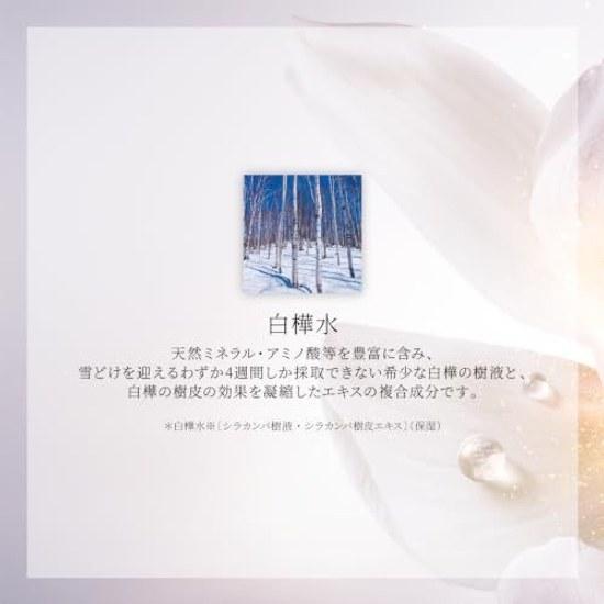 DECORTE Cosmetic Lotion AQ Absolute Hydro Infuse II 200mL