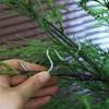 10Pcs Shape Fixator Branch Shaping Device M-Shaped Tree Branch Bender  Fruit Tree Training