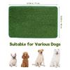 Delicate Pet Pee Mat with Realistic Grass Texture Supple Water Absorbing Pe Tpr Material for Car Room Home Use Dog Supply