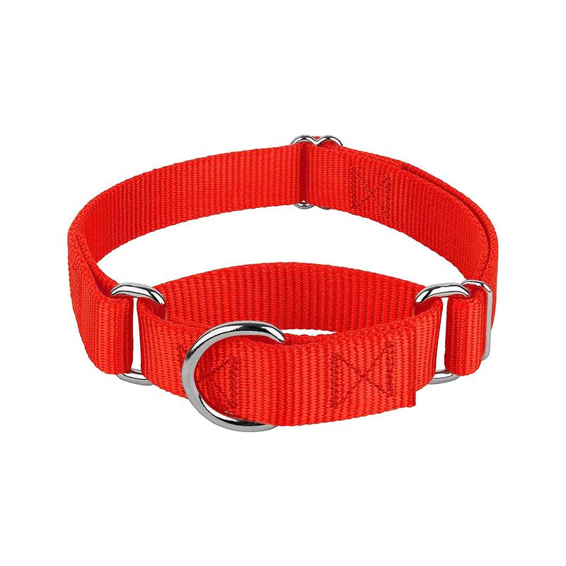 

Мартингейл сверхмощный нейлоновый ошейник для собак Регулируемый мягкий удобный ошейник для щенков для маленьких и больших собак Контроль безопасности при обучении S - Neck 28-38cm