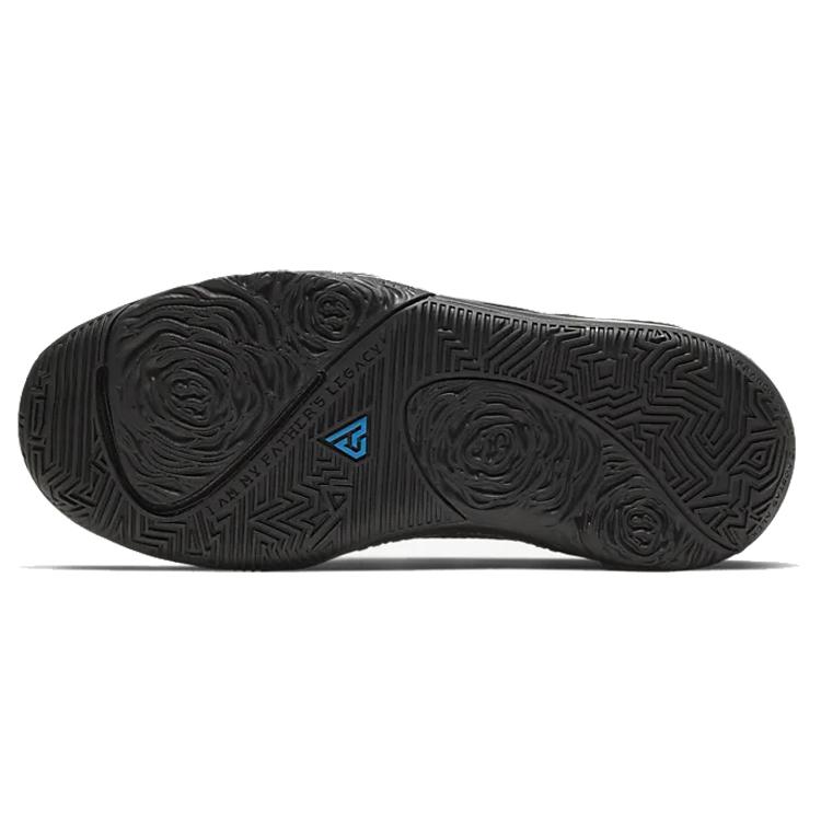 Nike Zoom Freak 1 Black Multi Photo Blue GS BQ5633-004