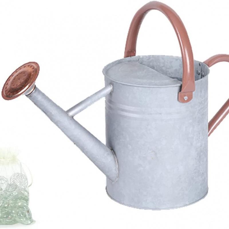 4L Premium Dual-Use Watering Can for Flowers (European & American Style)