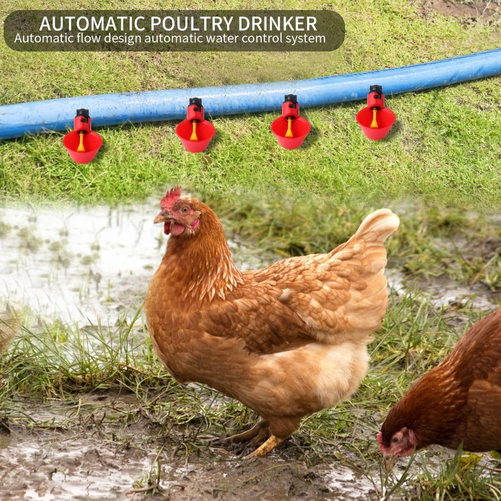 10/20/30pcs Chicken Water Dispenser Leak Proof Automatic Drinking Water Feeding Bowl for Chickens Quails Birds Breeding Supplies