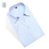 Women's Short-Sleeved Professional White Shirt