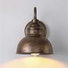 Vintage Wall Sconce Gooseneck Barn Flat Light Industrial Vintage Farmhouse Wall Sconce Outdoor Wate
