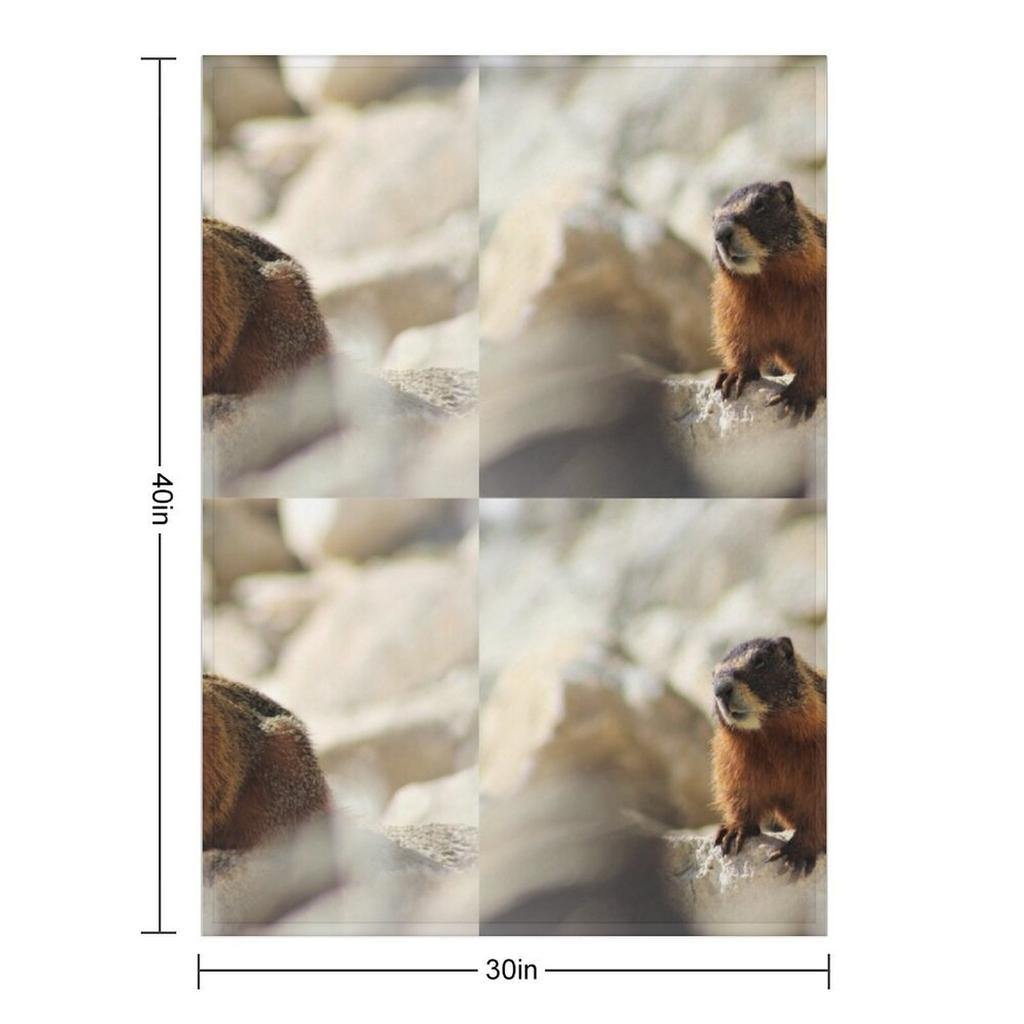 marmot Throw Blanket Camping Heavy Cute Plaid Furrys Blankets