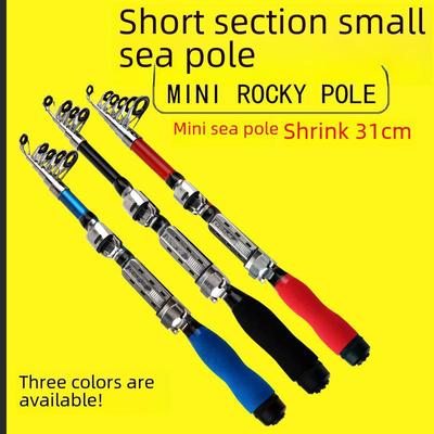 Mini caña de pescar portátil de bolsillo para lance en río y mar, balanceo de larga distancia. Ideal para secciones pequeñas, con precios especiales.