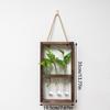 Wall Hanging Glass Planter Propagate Station Wall Hanging Glass Planter with Wooden Stand