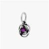 PAndora 793125c02 February Birthstone Purple Eternity Circle Pendant And Dangle Silver Charm