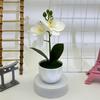 Butterfly Orchid Replica Potted Flower For Event Decor And Home Styling