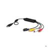Adaptateur Vidéo - StarTech.Com - SVID2USB232 - NTSC/PAL/SECAM - 186 Mm X 130 Mm X 34 Mm - Noir
