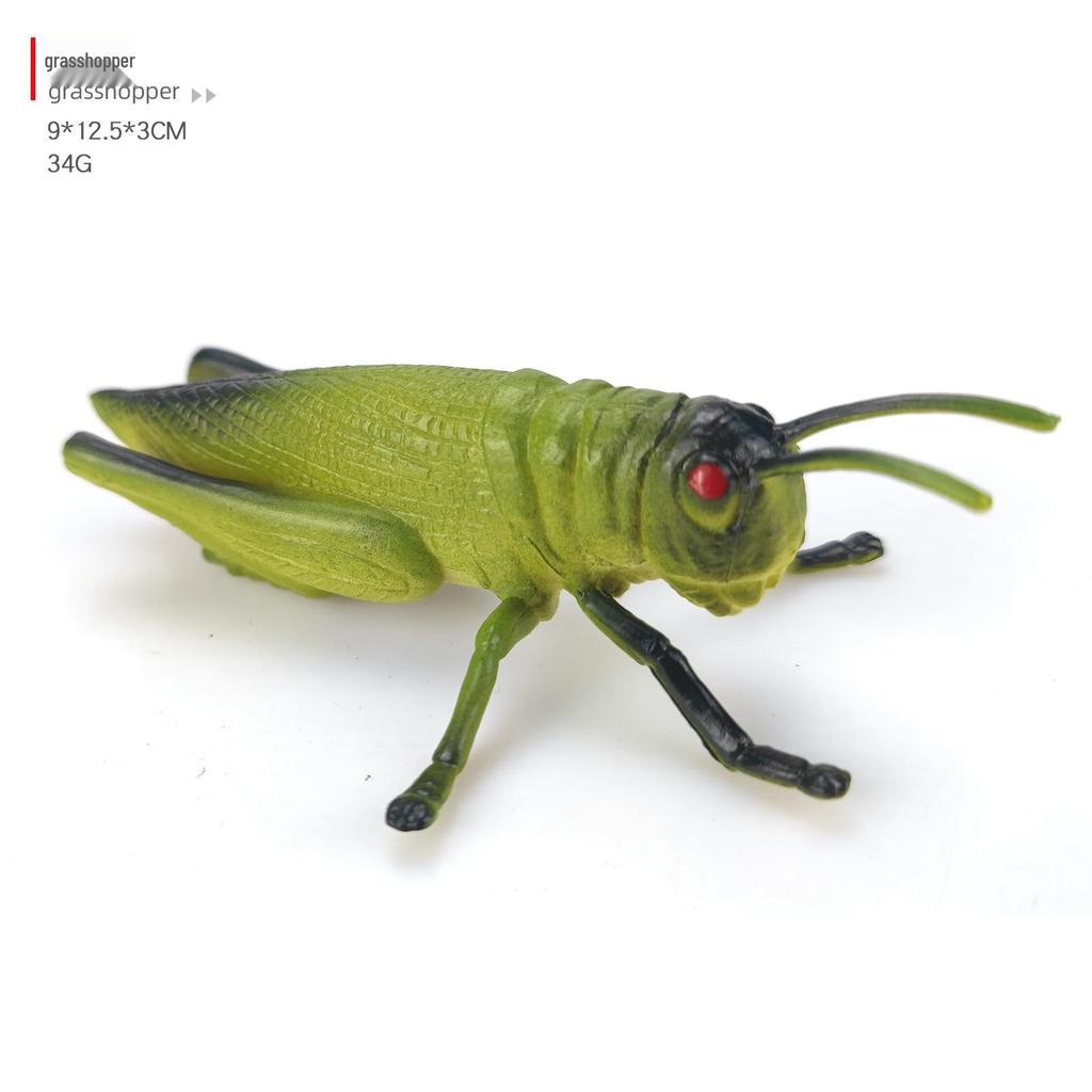 Children's Cognitive Teaching Toys: Insect Models - Butterfly, Ladybug, Rhinoceros Beetle, Bee, Grasshopper