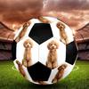 Cute Puppy Indoor Size 5 Soccer Ball Colorful Machine Stitched PVC Competition Ready Durable High-Bounce