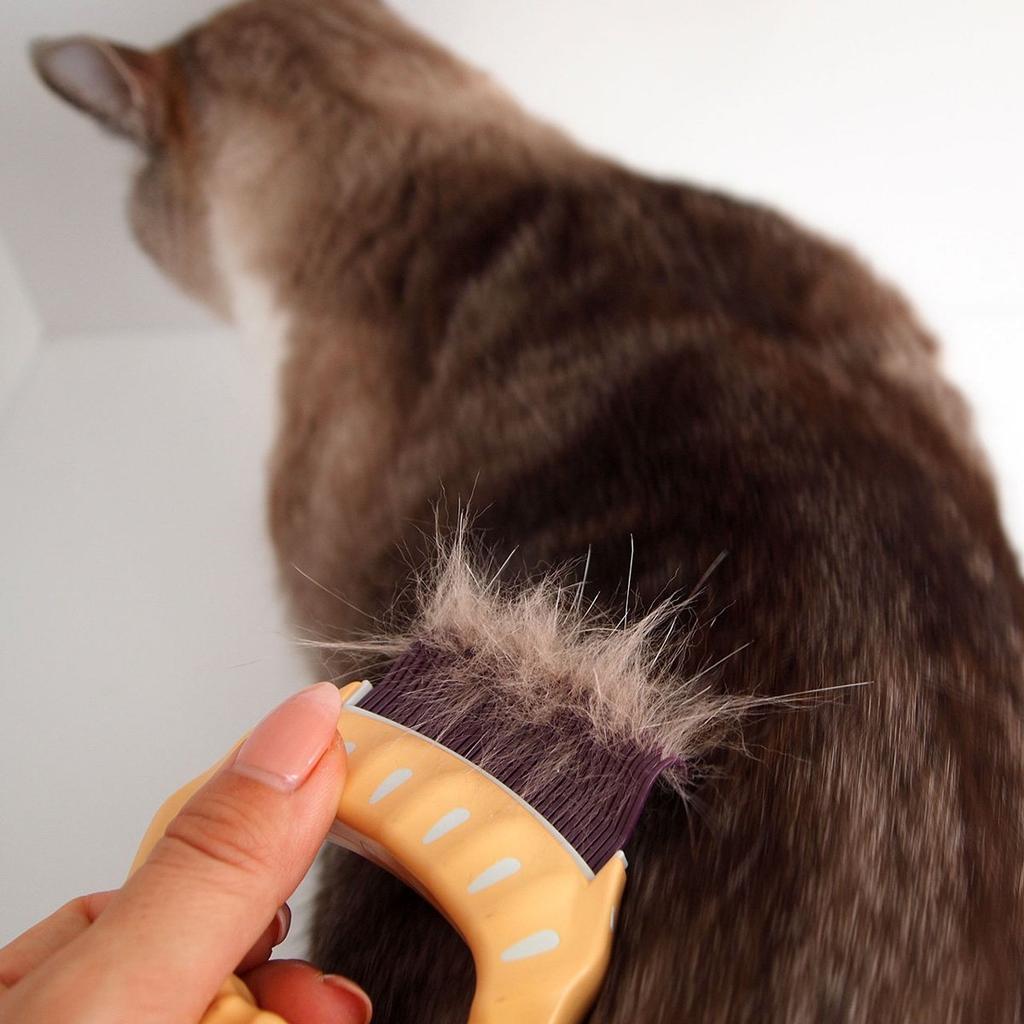 Soft E1 brush for cats Philocomb(R) short-haired