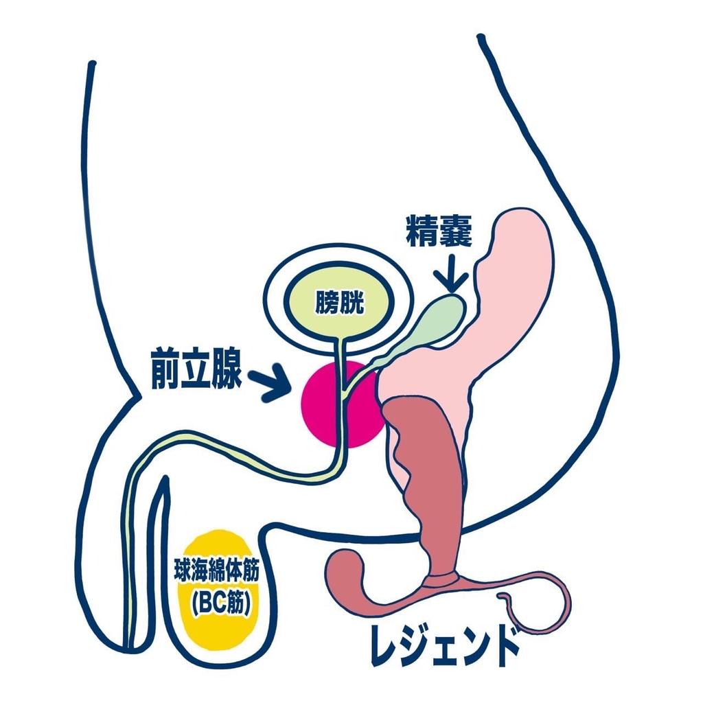 Enemagura Legend Pro the Enemagura Pro Series with For Advanced Users Unisex Dildo Anal Plug For Dry Orgasm Only In Uses Medical Grade (Genuine)