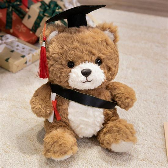Graduation Teddy Bear Plush Toy - Doctor Doll Commemorative Gift