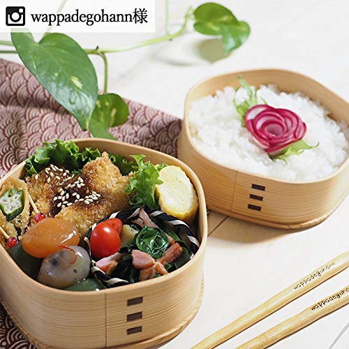 Odate Kogeisha Magewappa Bento Plum Blossom Bento 2 Akita Fabriqué au Japon Boîte, Boîte, Niveaux, Cèdre,