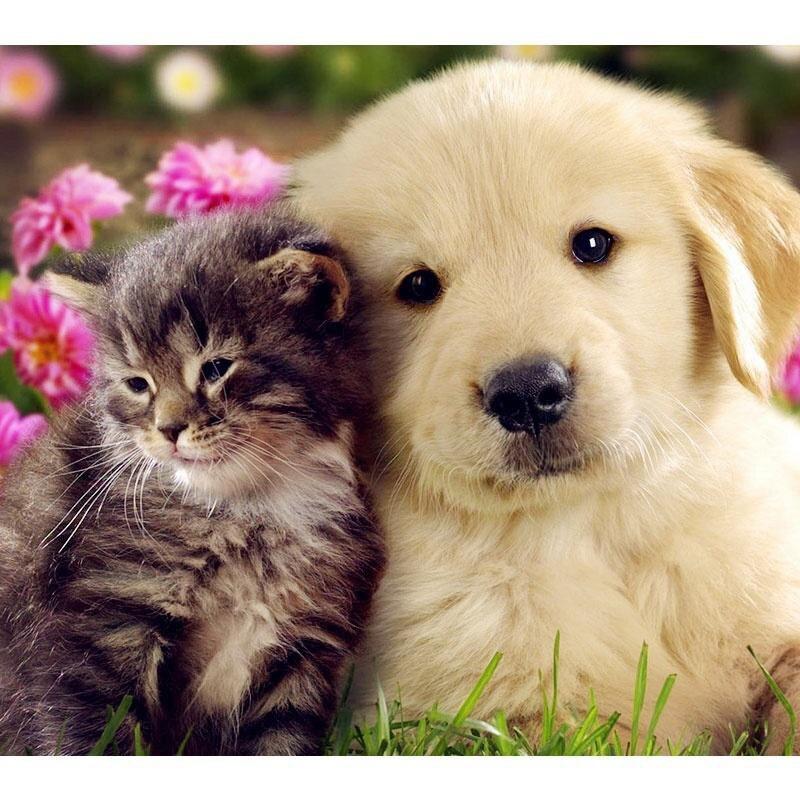 5D-Diamant-Malerei, rund, DIY-Malset, Diamant-Malerei, Kreuzstich-Set, Mosaik-Kunsthandwerk