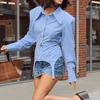 Irregular Hemline Stripe Slim Shirt Waist Cinched Long Sleeve Shirt Chic Women Shirt  Women