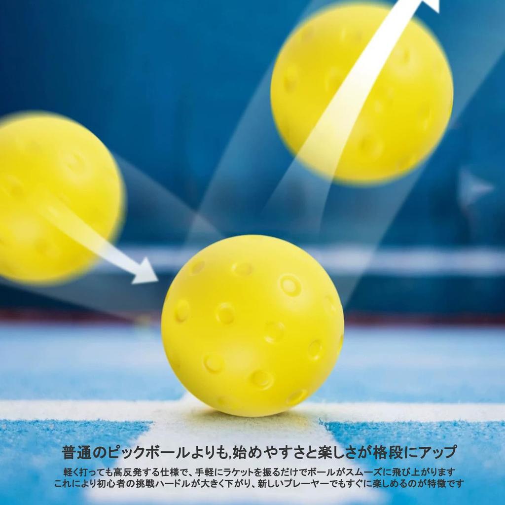 [TakaraSumi] Silent Pickleball, Set of 2  Professional Grade Training Balls  Suitable for Official Games & High Durability  Indoor & Outdoor Use,