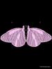Amor with butterfly Oversized T-Shirt