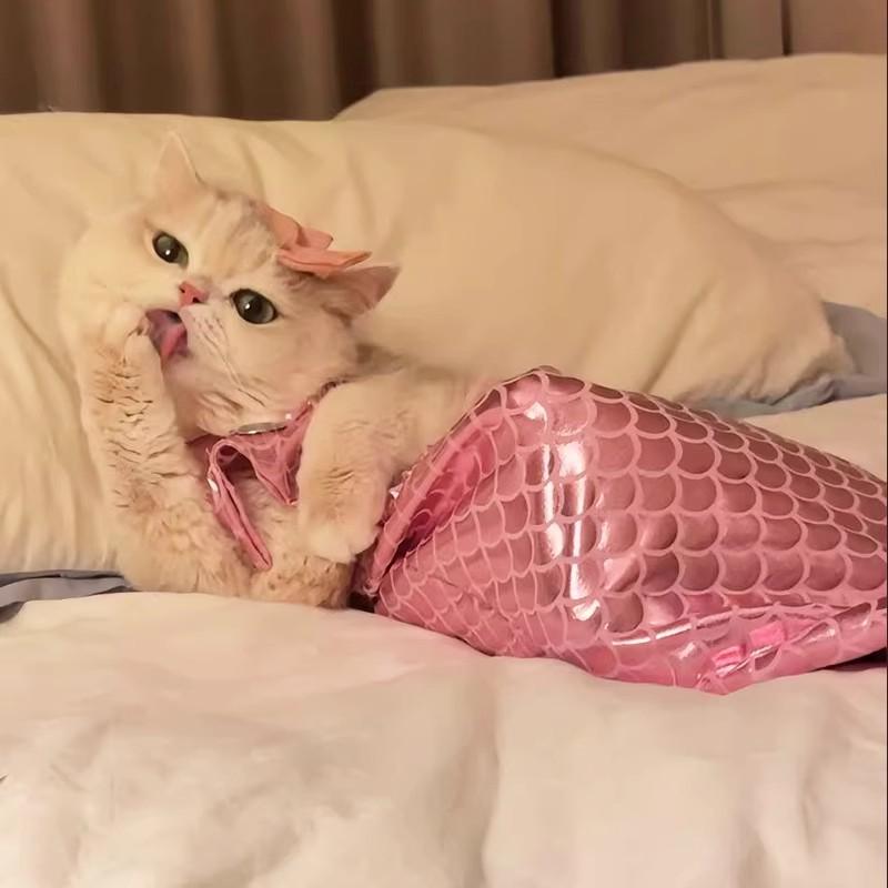 Sexy Summer Pet Swimwear: Cute and Lightweight Cat and Dog Clothes