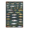 Tin Sign Fishing Variety Vintage Metal Plaque Sea Fish Poster Wall Decor for Bar Pub Kitchen Man Cave Garage Office Home   Rustp