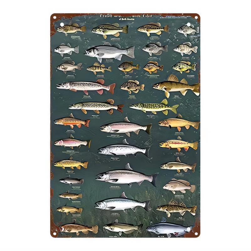 Tin Sign Fishing Variety Vintage Metal Plaque Sea Fish Poster Wall Decor for Bar Pub Kitchen Man Cave Garage Office Home Rustp