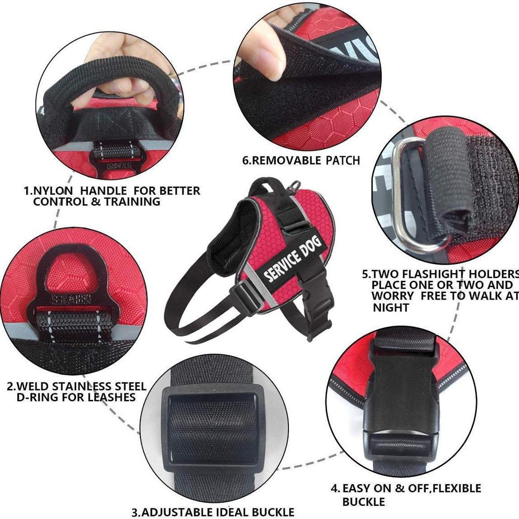Reflective Pet Harness & Leash - Comfortable Vest-Style Design
