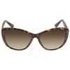 Brown Gradient Cat Eye Ladies Sunglasses Ck19560s 235 57