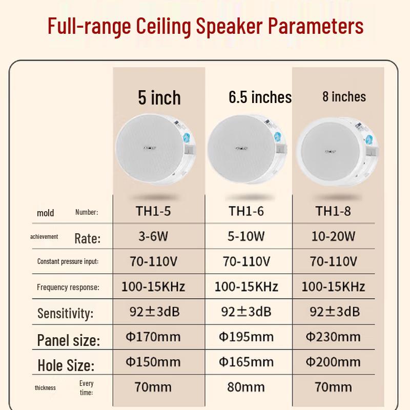 SAST TH15 5-inch Fixed Voltage Ceiling Speaker System CN plug (adapter included)