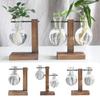 Test Tube Vase with Stand Hydroponic Flower Bud Vase Glass Terrarium Decorative Vase Plants for Home Office Decor