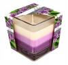Scented Candle In A Jar Without 8X8Cm Up To 30 Hours Of Burning 170G