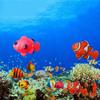5pcs Decorative Artificial Clownfish Plastic Simulation Floating Fishes Random Color Simulation Ocean Tropical Fish
