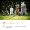 JC HOUSE Multifunctional Dog Safe for Multiple Super Wide 250cm for Large Durable Pet Supplies Leash, Hands-Free, Shoulder/Waist Belt, Adjustable,