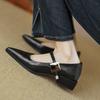 2025 Spring High-end Pointed Mary Jane Metal One-word Buckle Retro Light Mouth Thick Heel Single Shoes Women